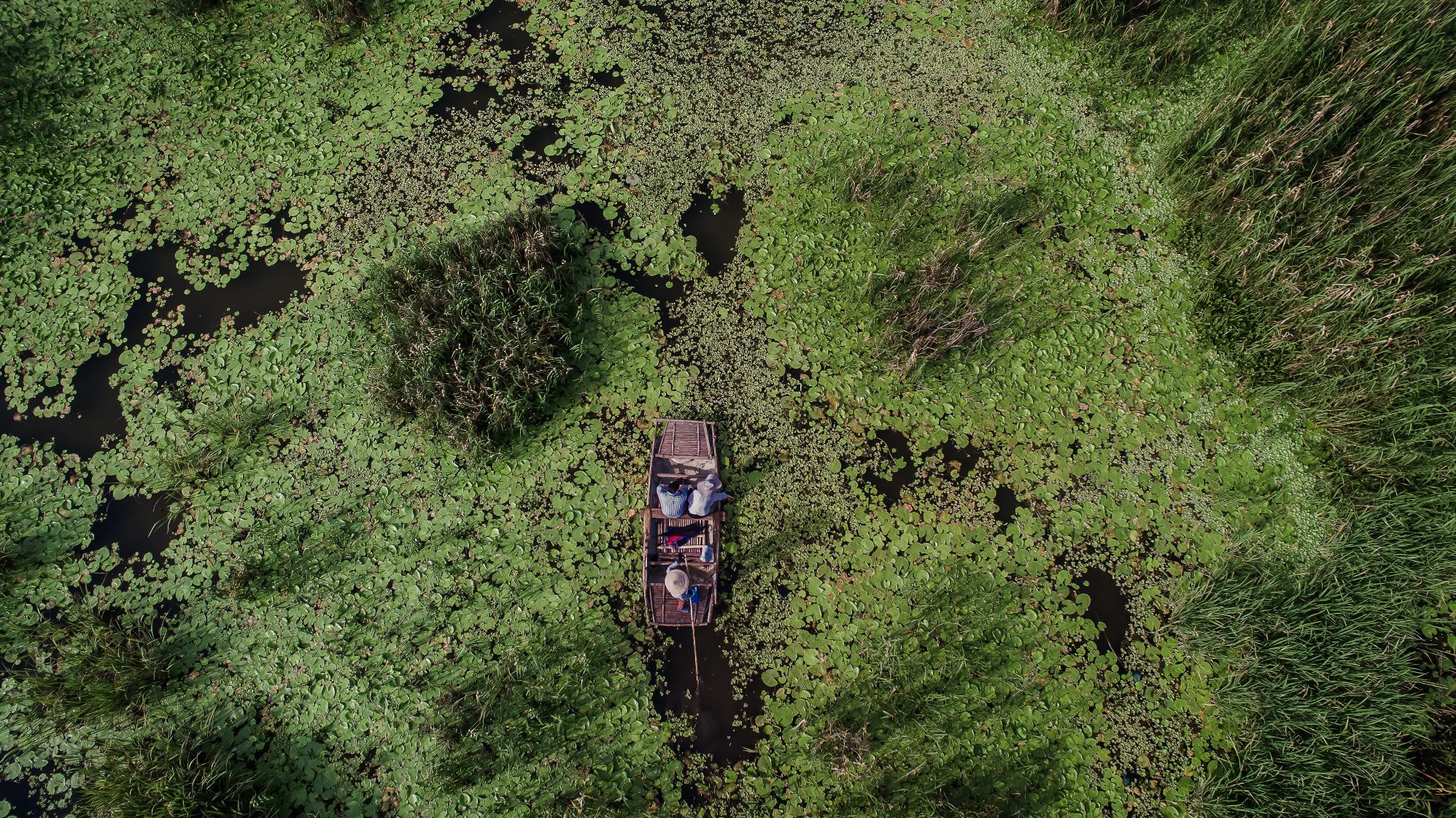 Banner cuối trang 2