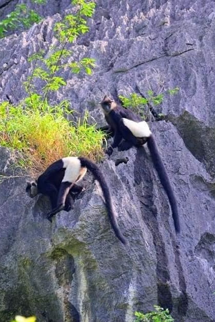 Banner cuối trang 3